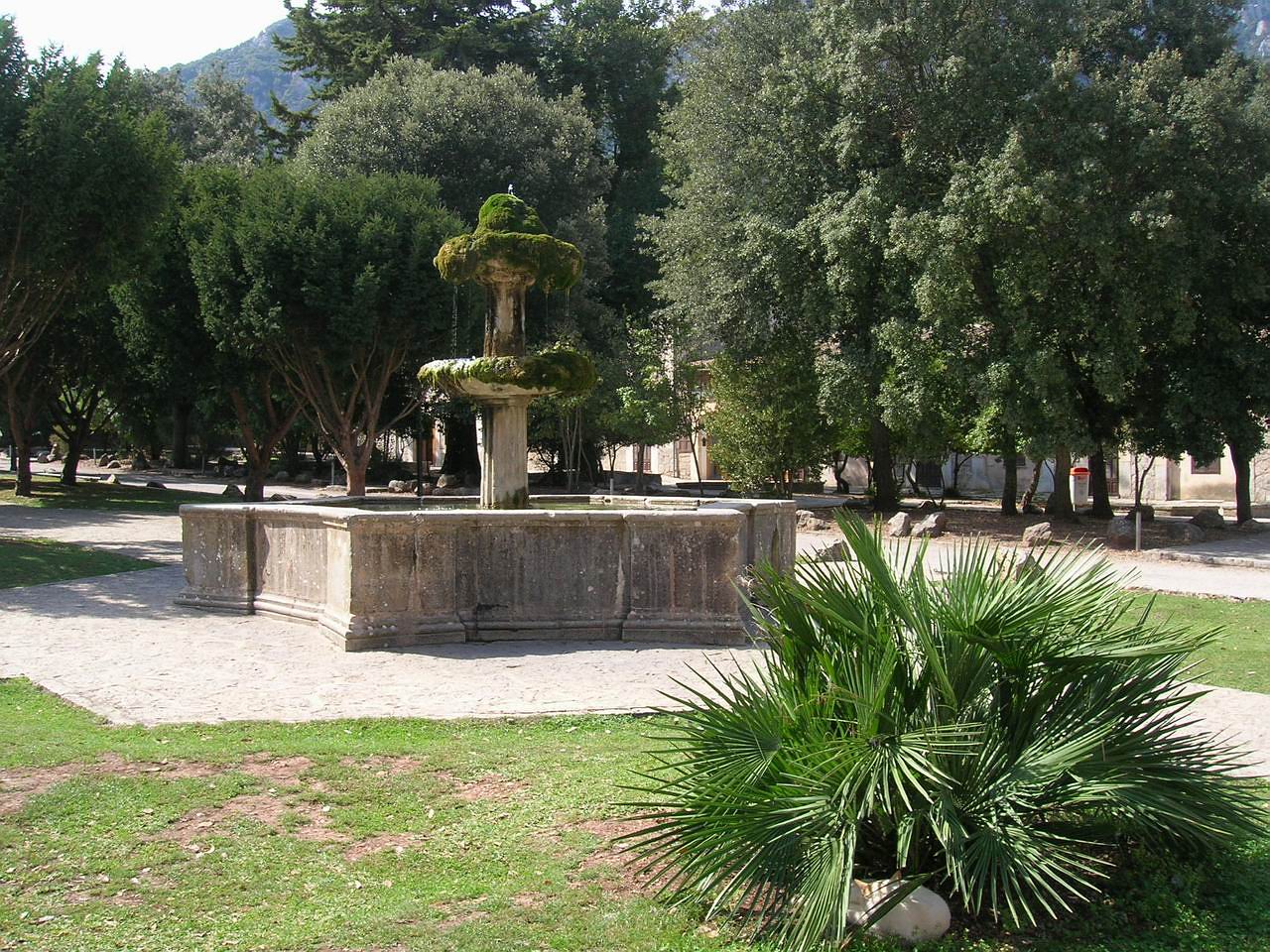 Lluc